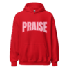 PRAISE Psalm 150 Hoodie - Image 2