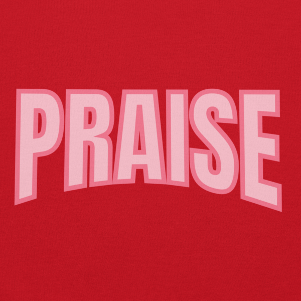 PRAISE Psalm 150 Hoodie - Image 4