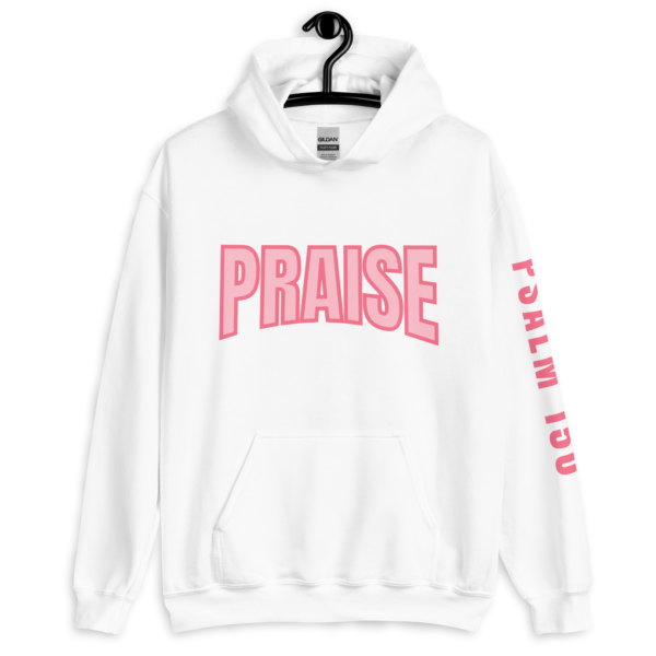 PRAISE Psalm 150 Hoodie - Image 7